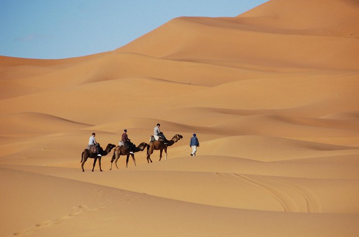 Camel caravan crossing golden Sahara dunes at sunset during a Morocco desert tour, with travelers on camels and a Berber guide leading through the vast desert landscape